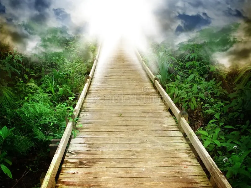 Navigating a path – OPEN HOUSE