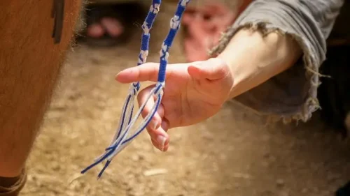 Image for the chosen