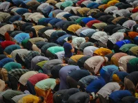 Alim wNp0tp18Vg4 unsplash