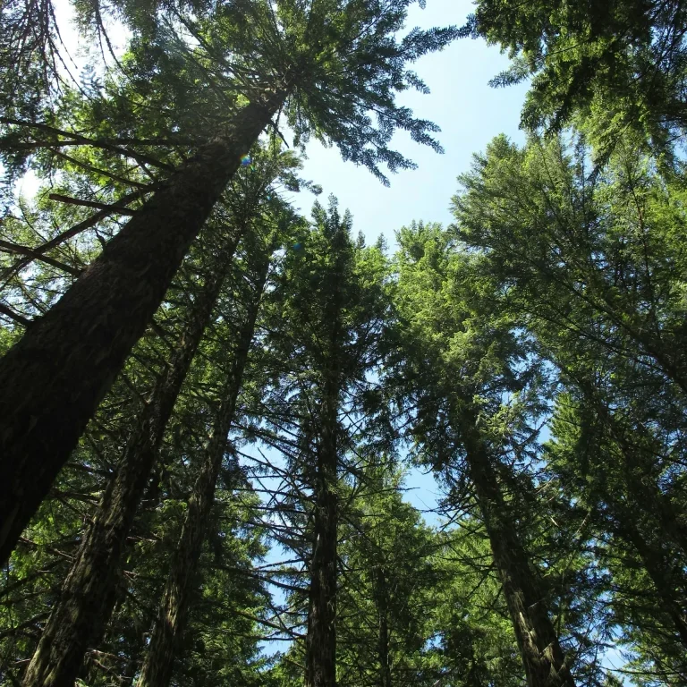 Noaa SkJG9sNkQVQ unsplash