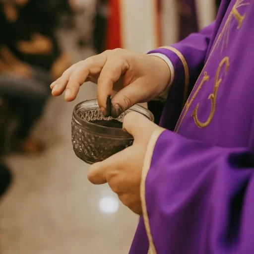 Thays orrico JoCCv4jcoYo unsplash