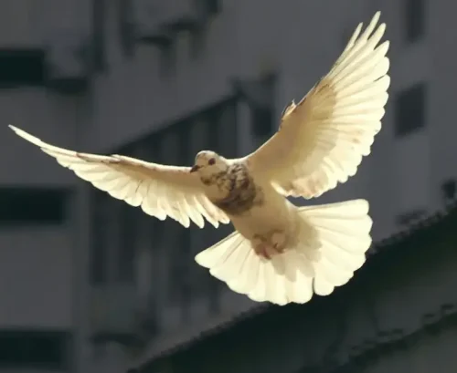 Sunguk kim JhqBxsORuXA unsplash cropped